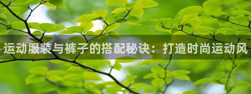 千亿国际网页版登录APP